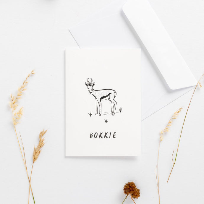 greeting cards springbok bokkie south africa wonder meyer illustrations